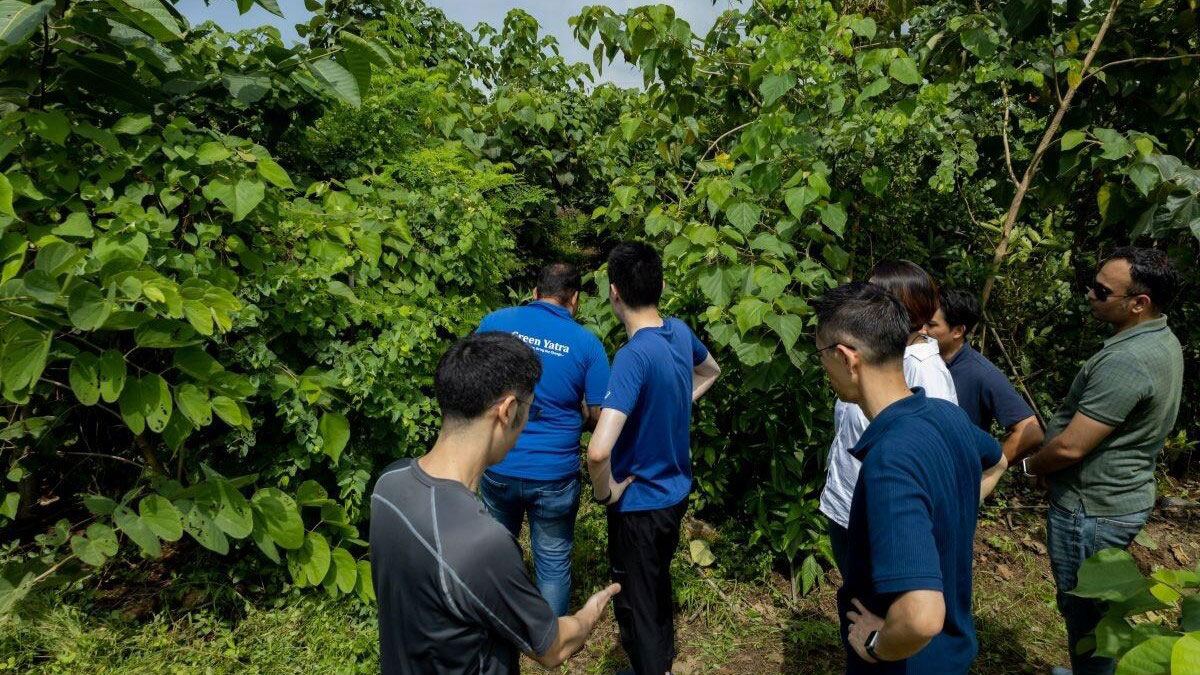 Featured image for “Bringing Forests Back to India’s Cities: Visiting the Green Yatra Tree-Planting Project Supported by GMO Payment Gateway”